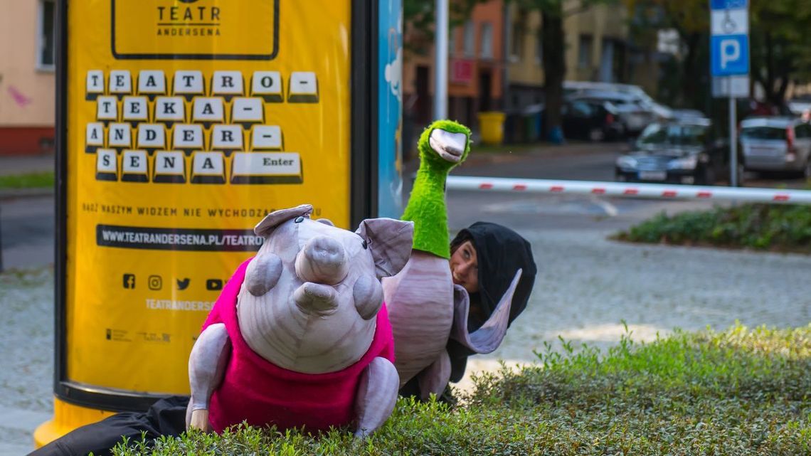 Spacery ze Świnią Apolonią i Gęsią Alicją po Lublinie Spacery ze Świnią Apolonią i Gęsią Alicją po Lublinie