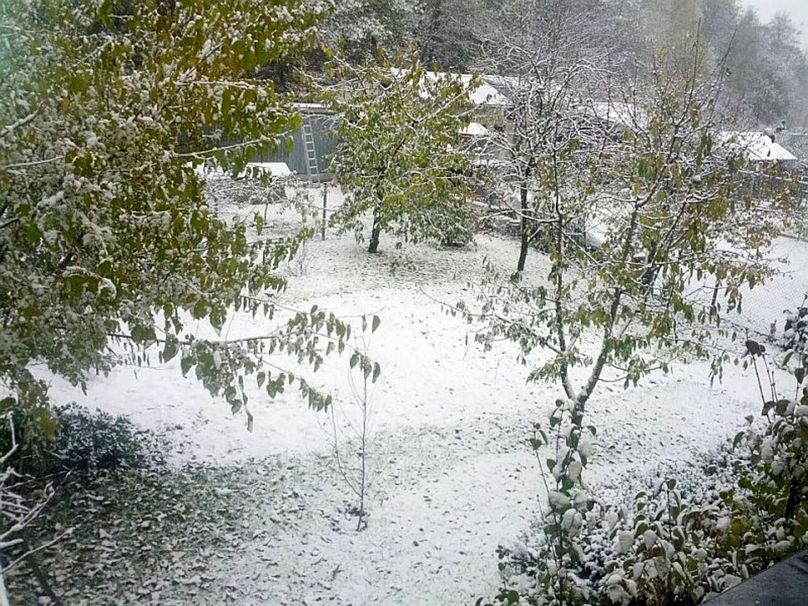 Spadł śnieg. Na drogach dobre warunki do jazdy