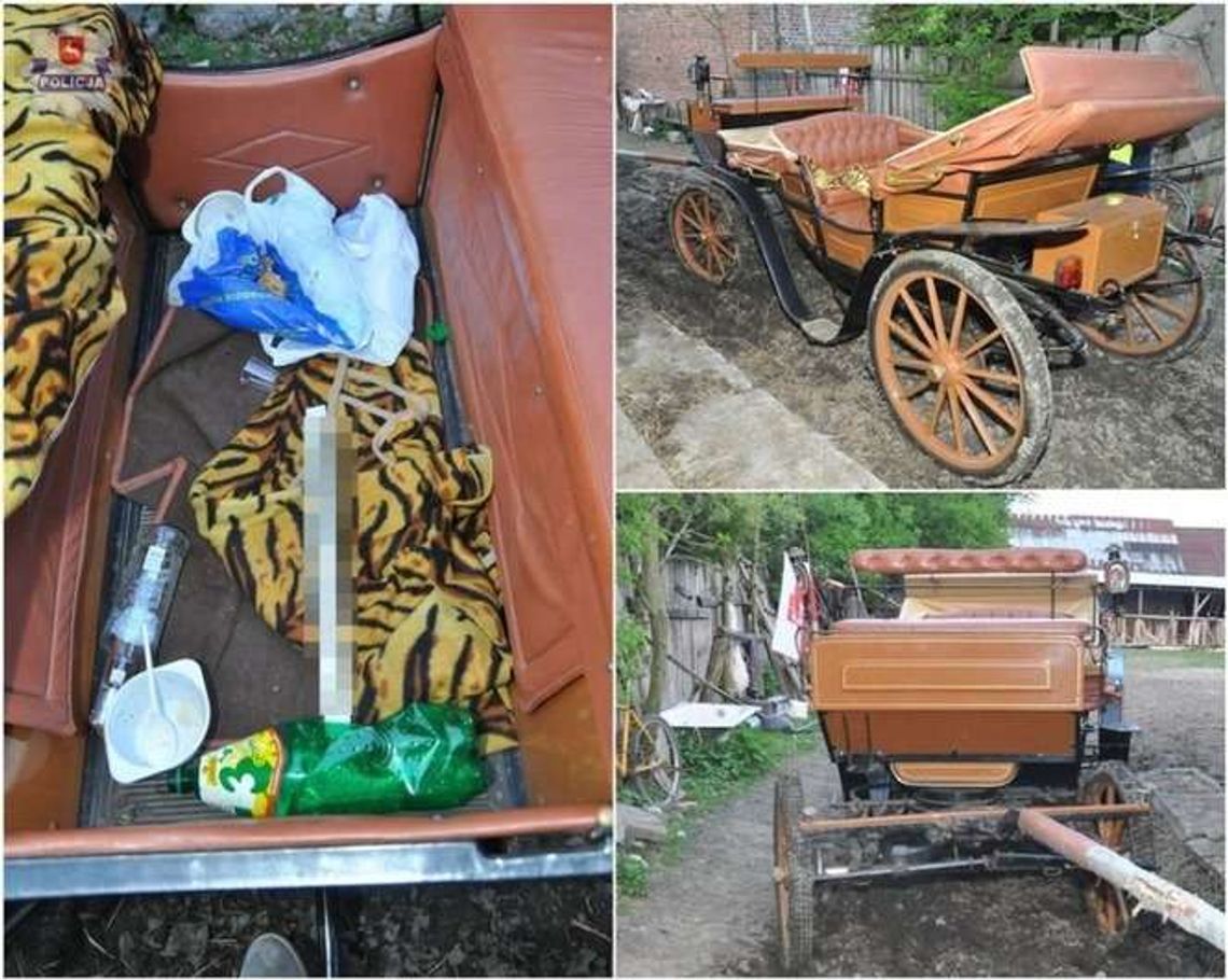 Spadł z bryczki pod koła. Woźnica był pijany