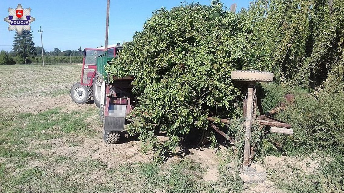 Spadł z kilku metrów podczas zbierania chmielu. Ma poważne obrażenia