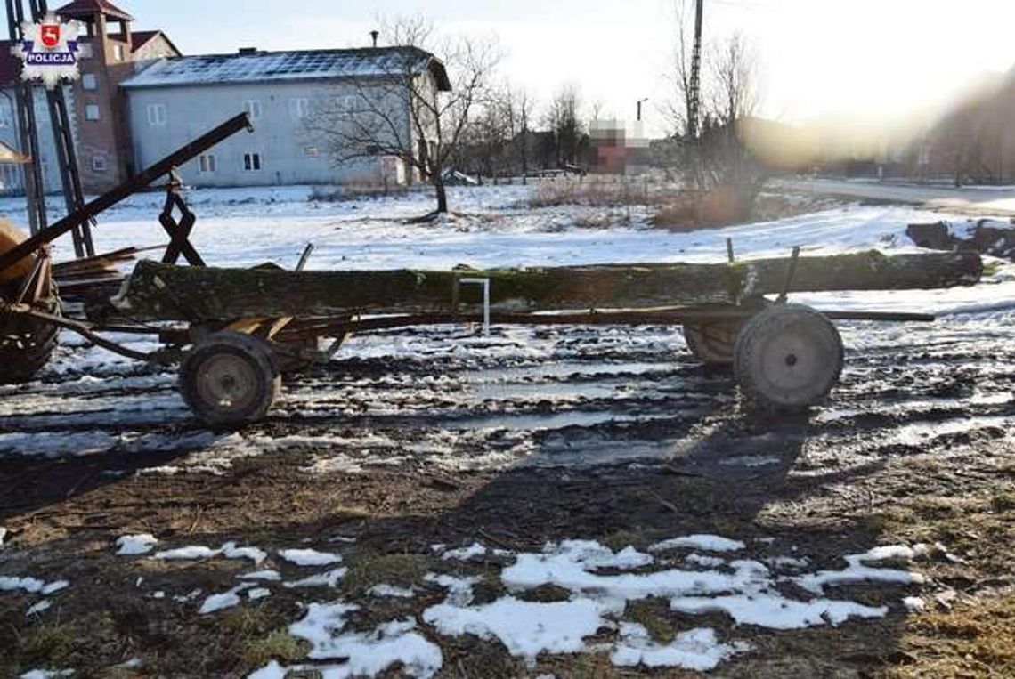 Spadł z wozu, uderzył o drzewo. Trafił do szpitala