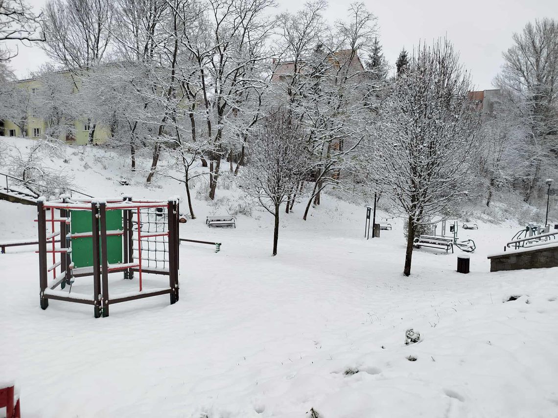 Spadnie nawet 20 cm śniegu. IMGW ostrzega