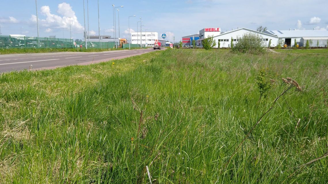 Spalarnia zwłok w Zamościu? Zgodna z prawem, ale niechciana