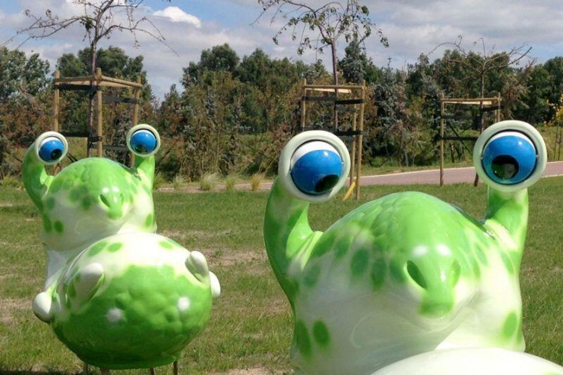 Spanie w drzewach, ogród ze smokami. Nietypowe inwestycje w woj. lubelskim