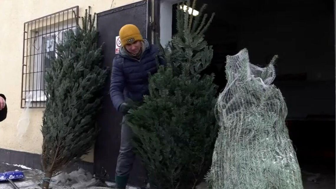 Specjalna akcja na święta. Kupisz choinkę, pomożesz Hani i Lenie