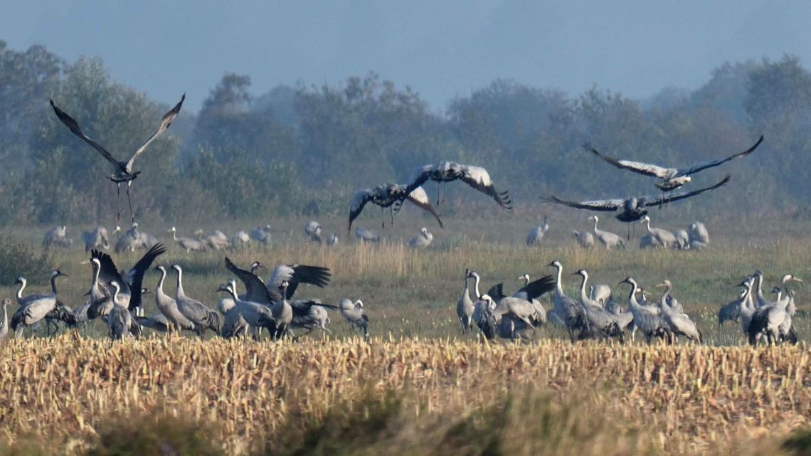 Specjalna wyprawa ratunkowa dla Polesia. Można się jeszcze zgłosić