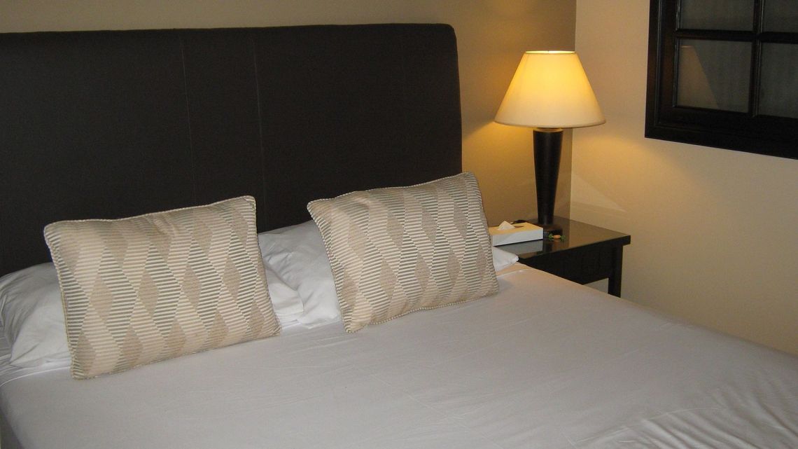 Spędzili dwa tygodnie na kwarantannie w schronisku w Chełmie. Straty - 2 tys. złotych Spędzili dwa tygodnie na kwarantannie w schronisku w Chełmie. Straty - 2 tys. złotych