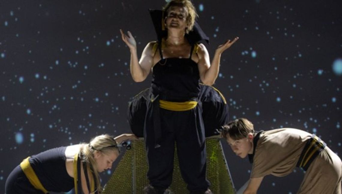 Spektakl "Rój. Sekretne życie społeczne"