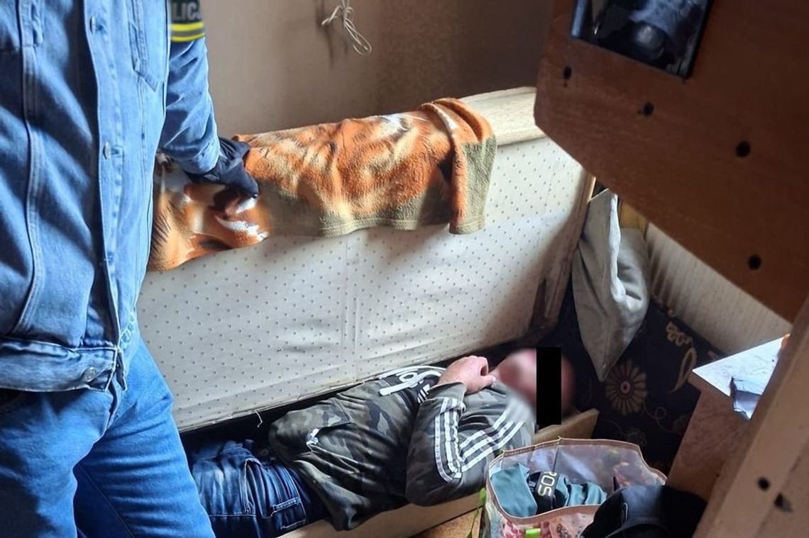 Poszukiwany w wersalce