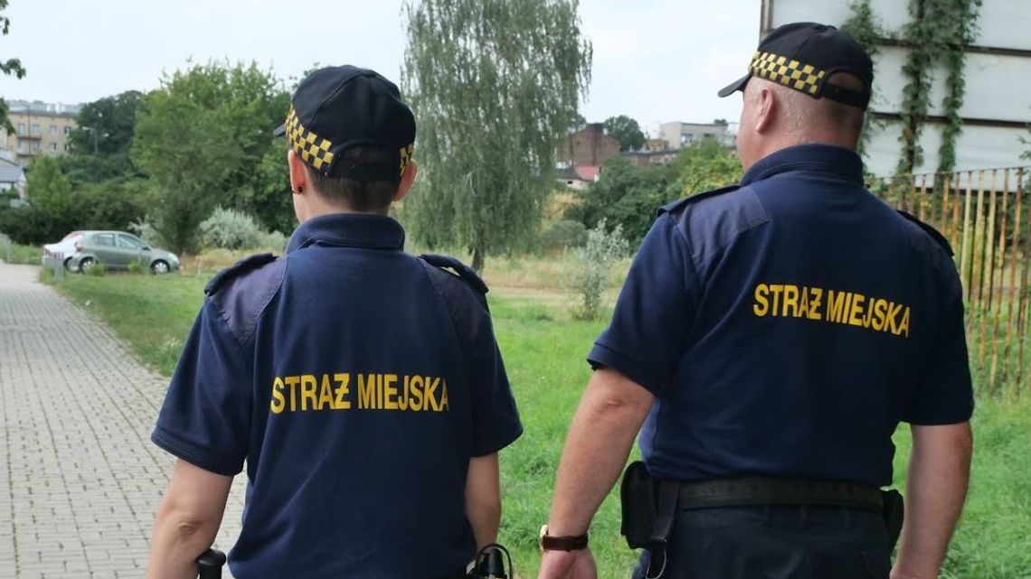 Spokojnie, to nie kontrola. Strażnicy miejscy pukają do drzwi i pytają o piece węglowe