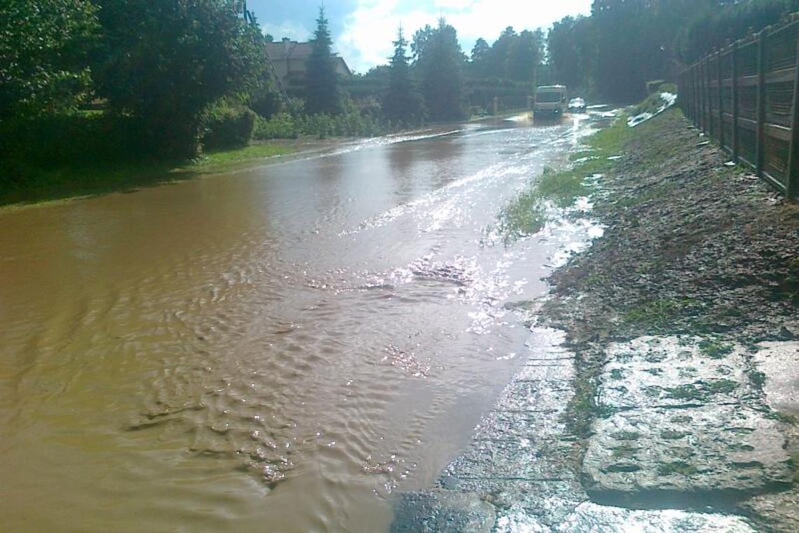 Sporniak Palikijski: Rzeka zamiast drogi (zdjęcia)