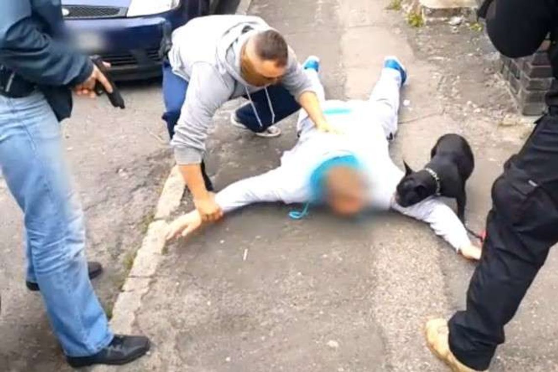 Sportowcy posiedzą za wyłudzenia. CBŚP rozbiło gang (wideo)