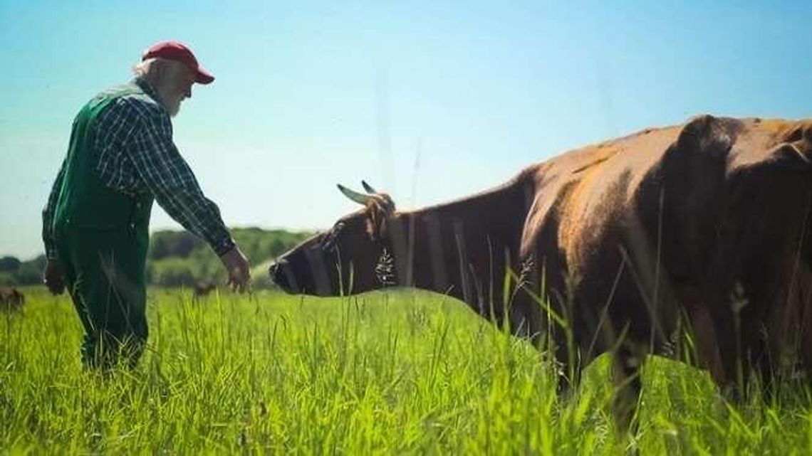 Spotkania z filmem w CSK: "Dni, na które czekamy"