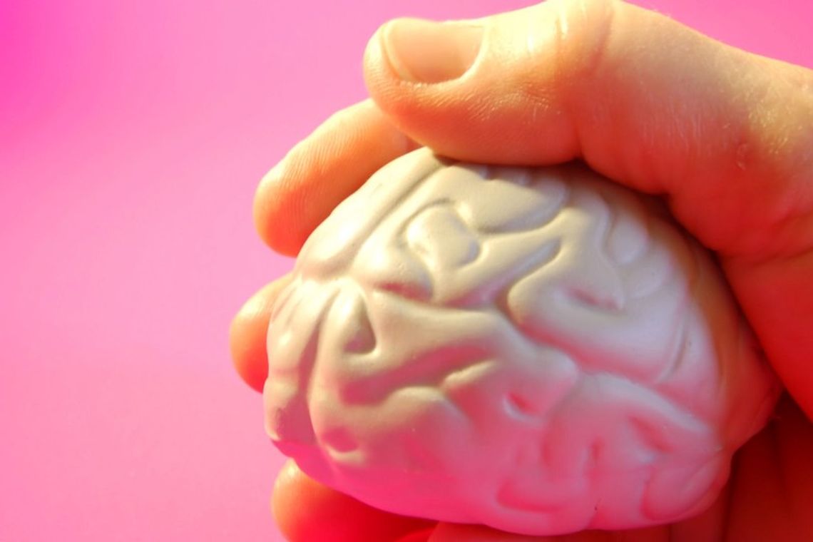 Sprawdź swoją inteligencję. Testy w Lublinie