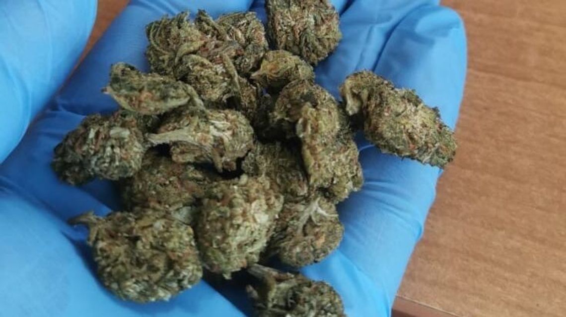 Sprinter z BMW chciał zwiać z „maryśką” Sprinter z BMW chciał zwiać z „maryśką”