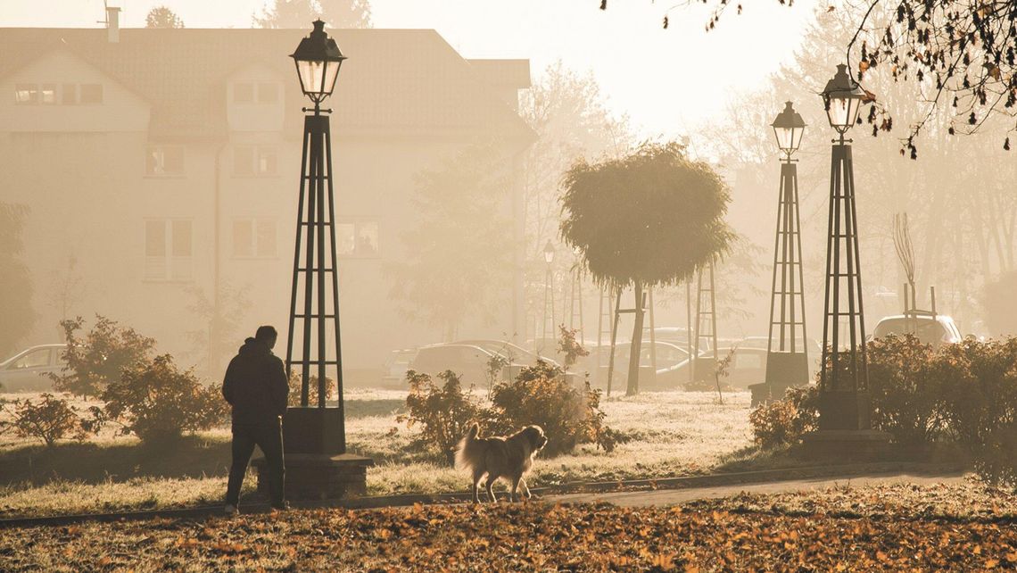 Sprzątaj po swoim psie. W Zamościu będą rozdawać darmowe woreczki na psie odchody Sprzątaj po swoim psie. W Zamościu będą rozdawać darmowe woreczki na psie odchody