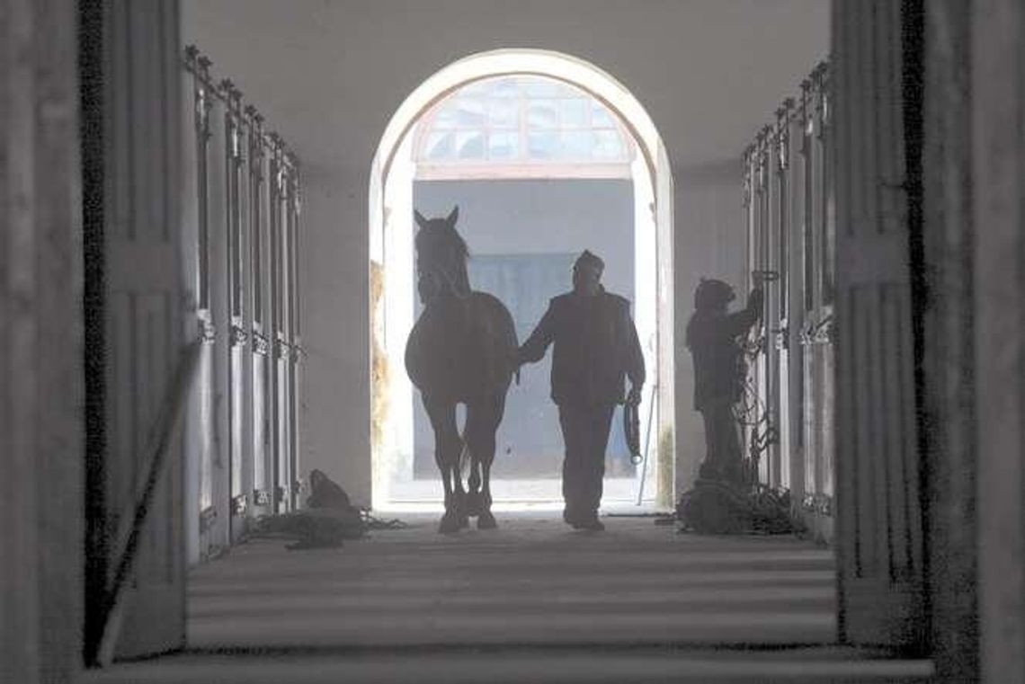 Stadnina koni w Janowie Podlaskim Pomnikiem Historii