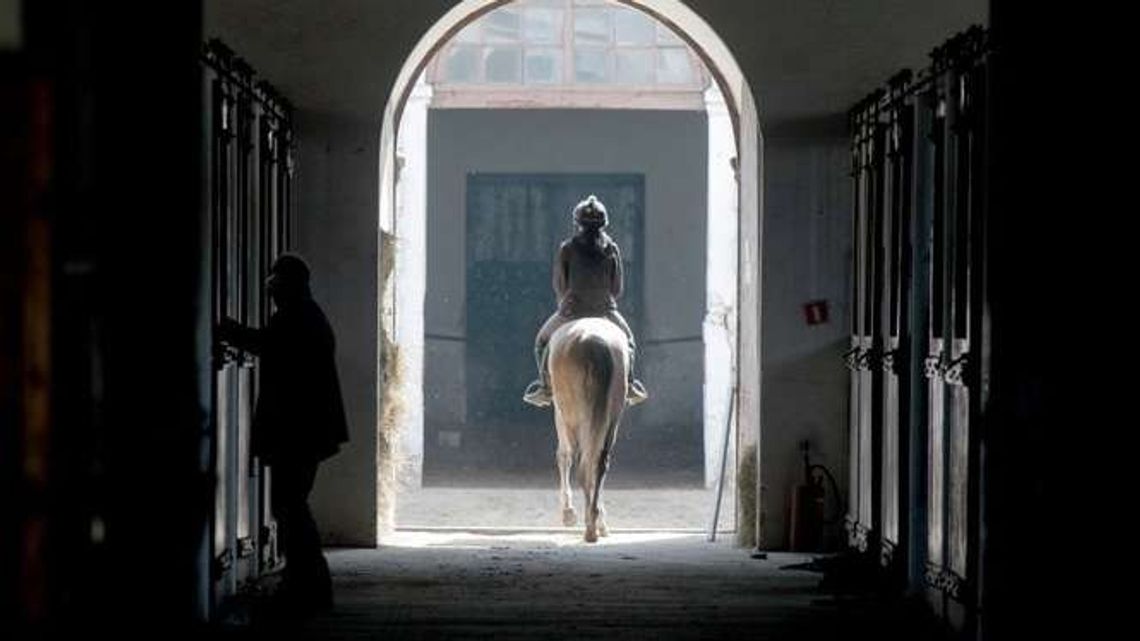 Stadnina koni w Janowie Podlaskim ze stratą 1,5 mln zł