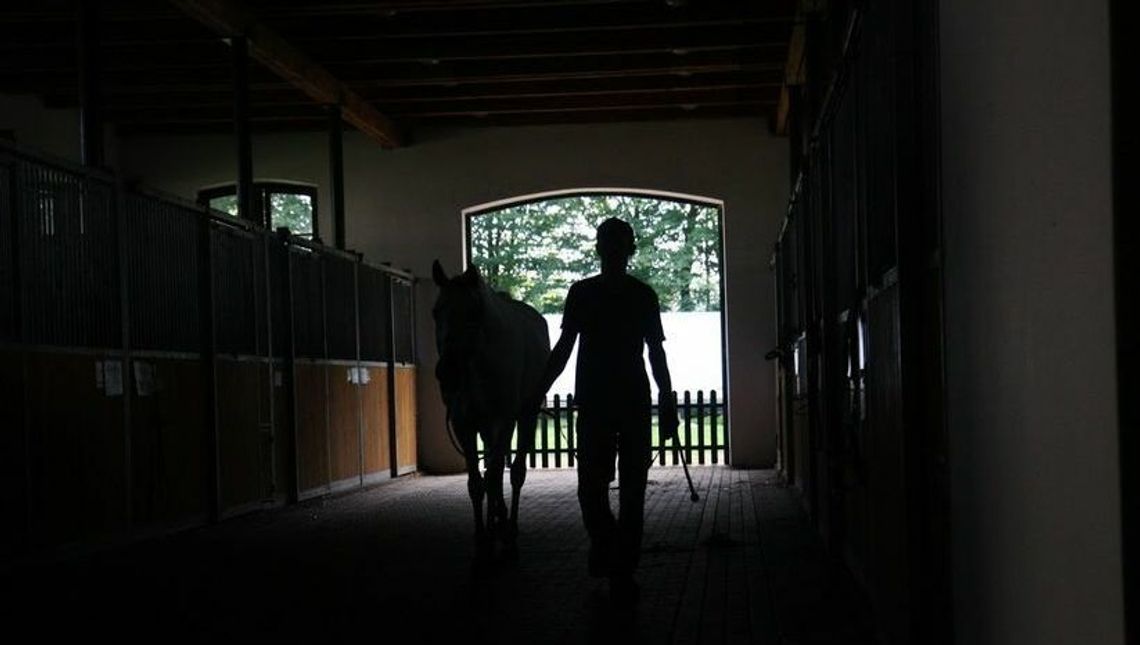 Stadnina w Janowie Podlaskim da pracę i mieszkania Ukraińcom Stadnina w Janowie Podlaskim da pracę i mieszkania Ukraińcom