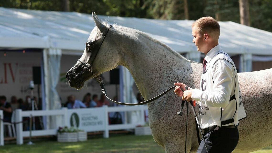 Stadnina z dużą stratą finansową. Mowa o kosztach naprawy zaniedbań poprzedników Stadnina z dużą stratą finansową. Mowa o kosztach naprawy zaniedbań poprzedników