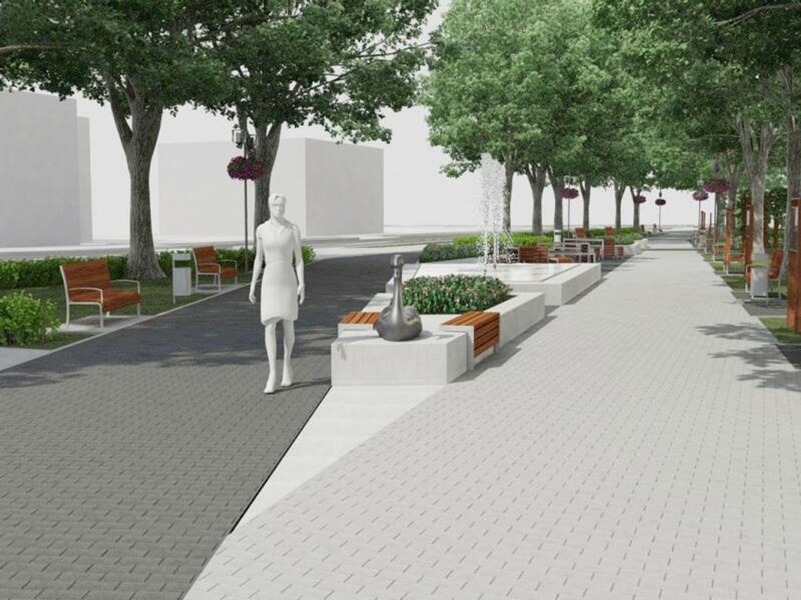 Stare drzewa, nowy Park Solidarności w Biłgoraju