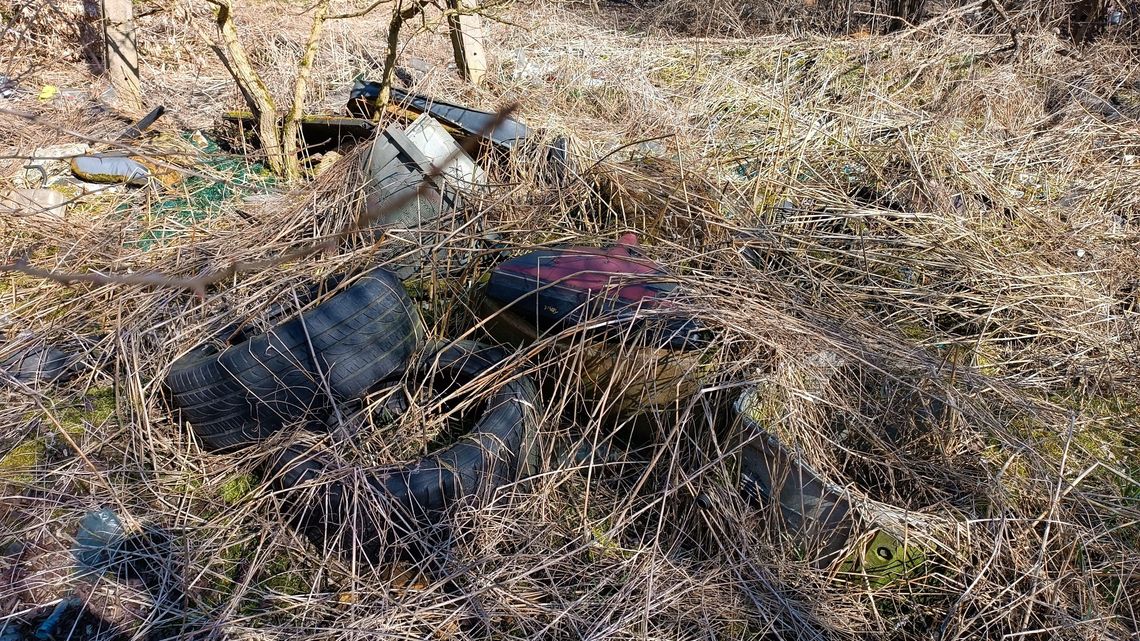 Stare gumy wyjadą znad Bystrzycy. W sobotę wielkie sprzątanie