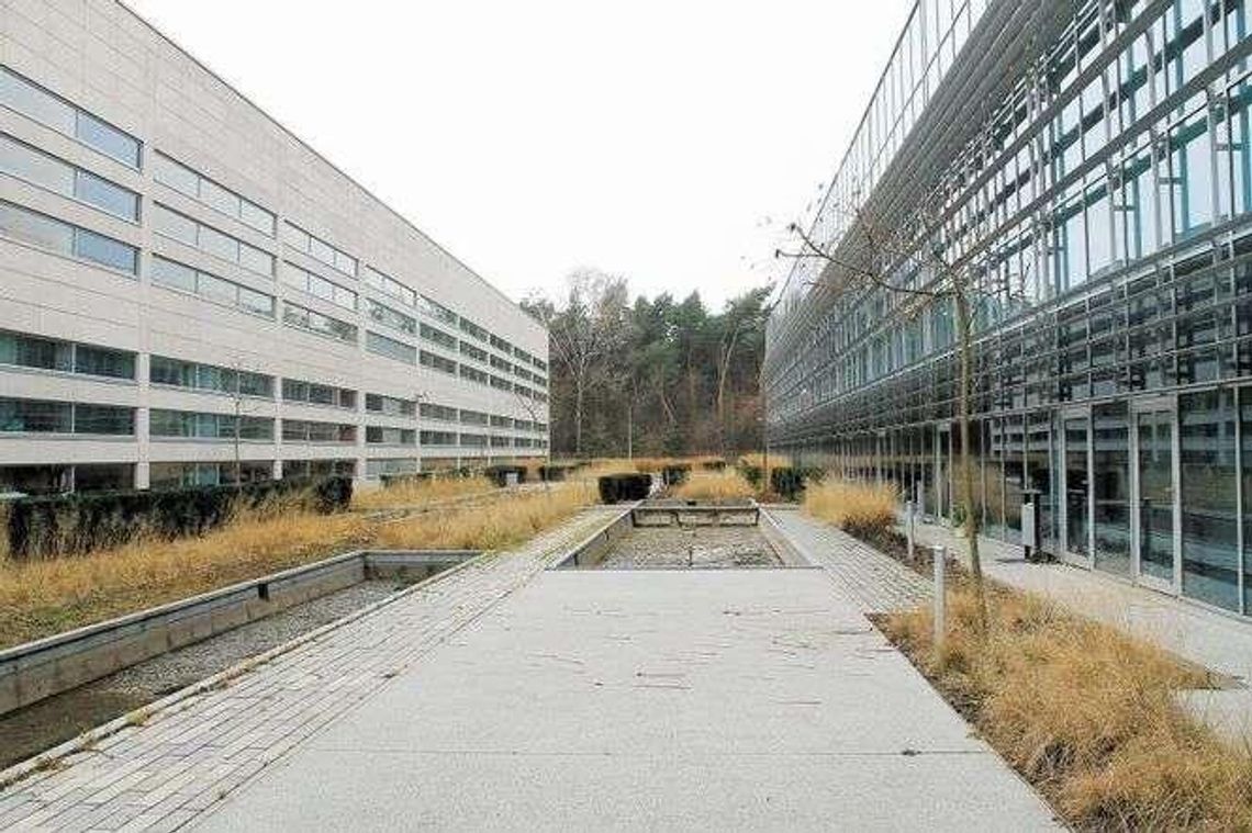 Start-upy i unijne miliony. "Zakładali kolejne spółki, tworzyli zupełnie sztuczne byty"