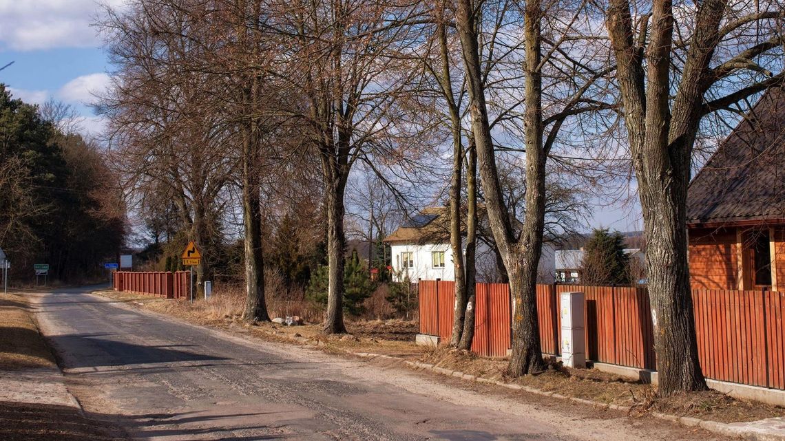 Stary Bubel: Sołtysowi malowniczej wioski drzewa niepotrzebne. "Nie ma sensu, by stały" Stary Bubel: Sołtysowi malowniczej wioski drzewa niepotrzebne. "Nie ma sensu, by stały"
