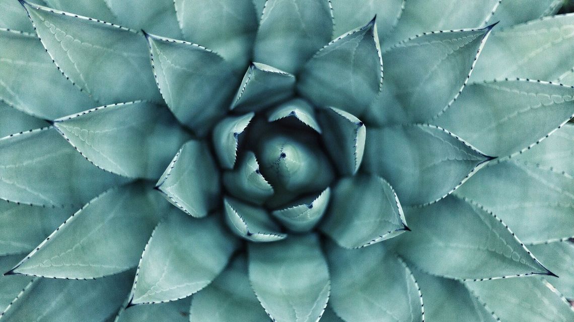 Starzenie się skóry a jej pielęgnacja – to trzeba wiedzieć