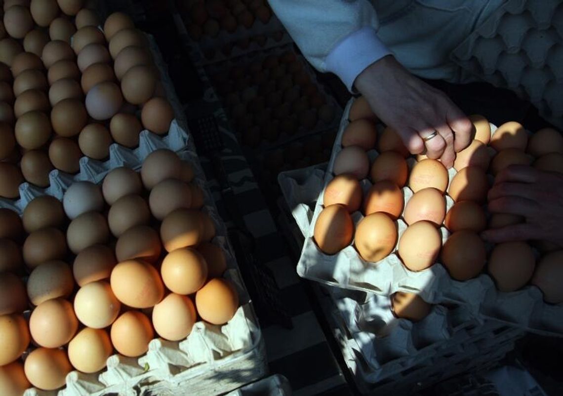 Statystyczny Polak w 2011 roku zjadł 173 jaja