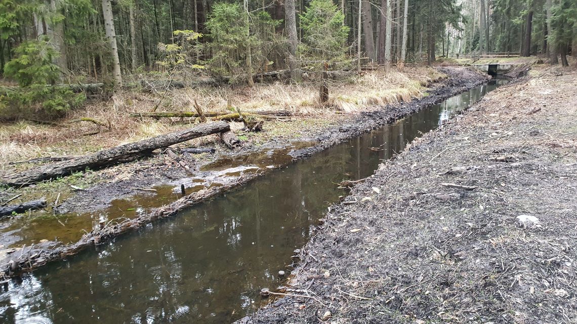 Stawy Echo przed sezonem. Mieszkańcy żądają wody [zdjęcia]