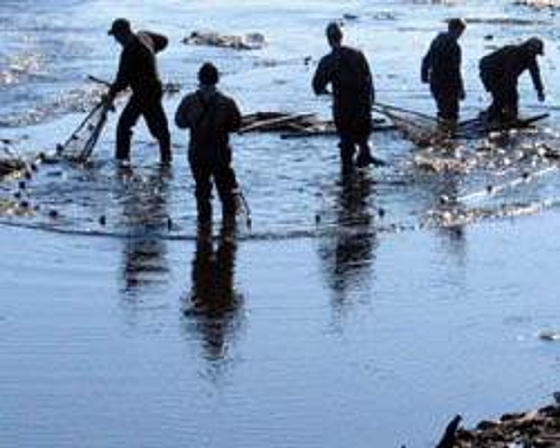 Stawy rybne w Momotach (nr 24) - 0 głosów