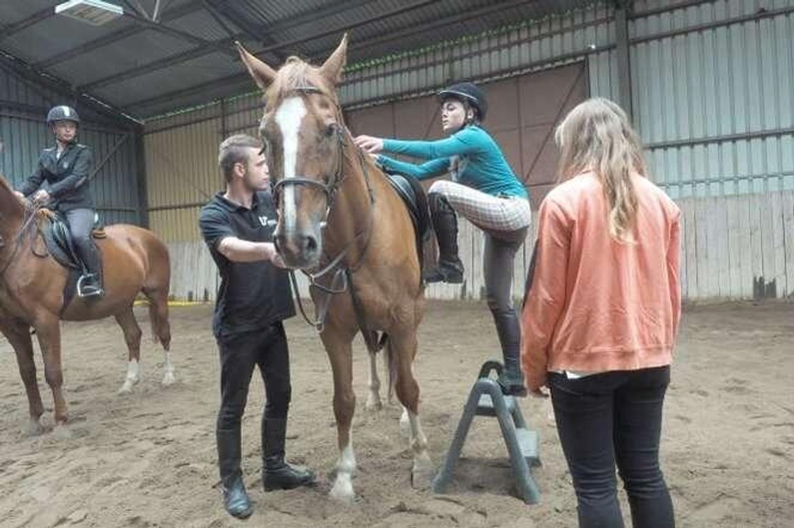 Stęp, kłus i galop. Egzamin wstępny na jeździectwo i hipologię (zdjęcia)