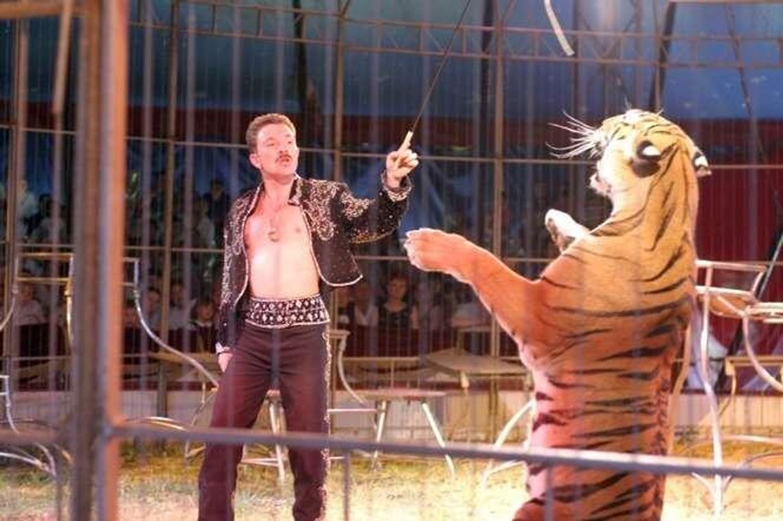 Stop dla cyrków z żywymi zwierzętami w Lublinie. Ponad 2 tys. podpisów pod petycją Stop dla cyrków z żywymi zwierzętami w Lublinie. Ponad 2 tys. podpisów pod petycją