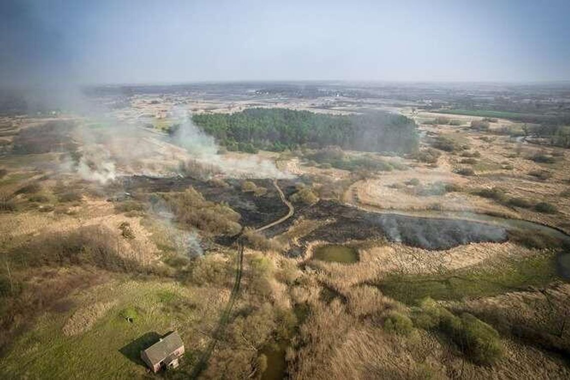 Stop pożarom traw! Zobacz czym to się kończy. Film Czytelnika Stop pożarom traw! Zobacz czym to się kończy. Film Czytelnika