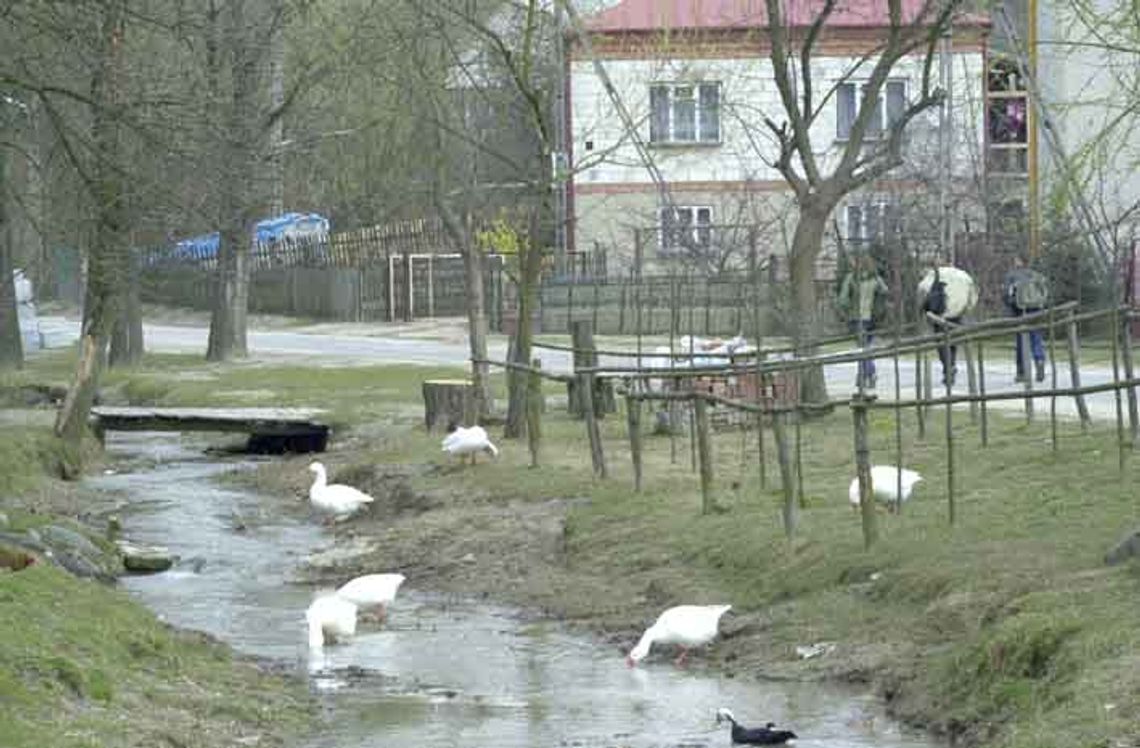 Strach zawitał do wsi