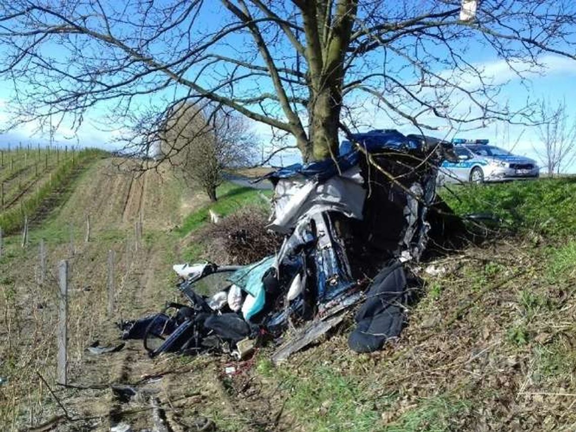 Stracił panowanie i rozbił BMW na drzewie. 18-latek nie żyje. Auto rozpadło się na dwie części