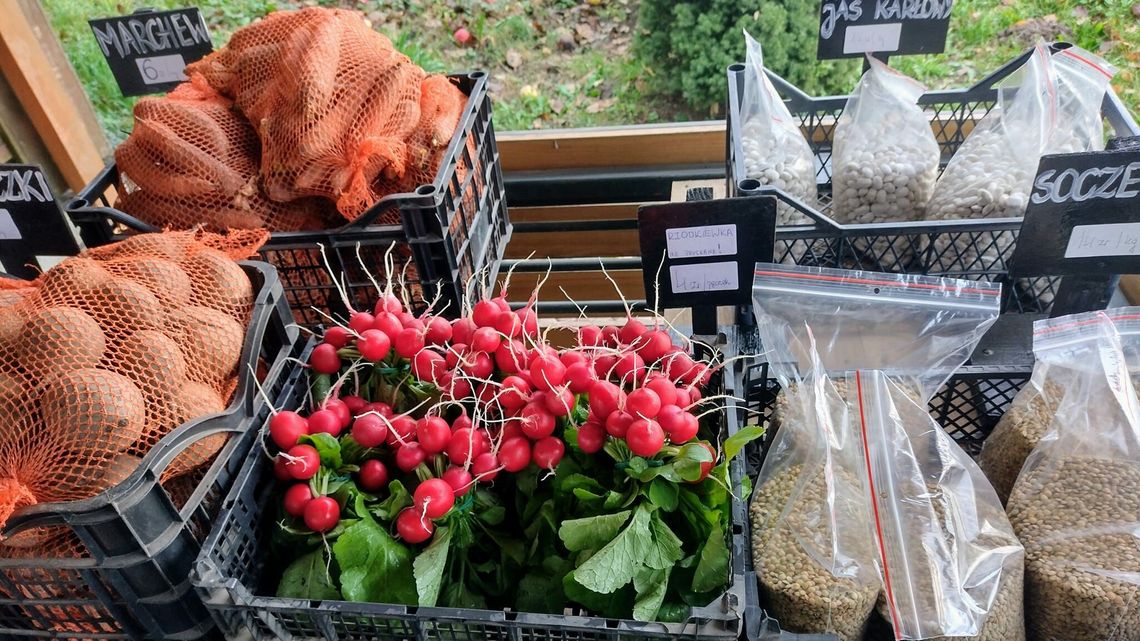 Stragan warzywny przy drodze. Bez sprzedawcy Stragan warzywny przy drodze. Bez sprzedawcy