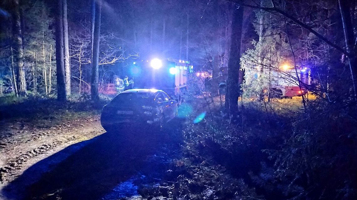 Straszne odkrycie w Lubelskiem. Zwłoki ojca i córki znalezione w lesie