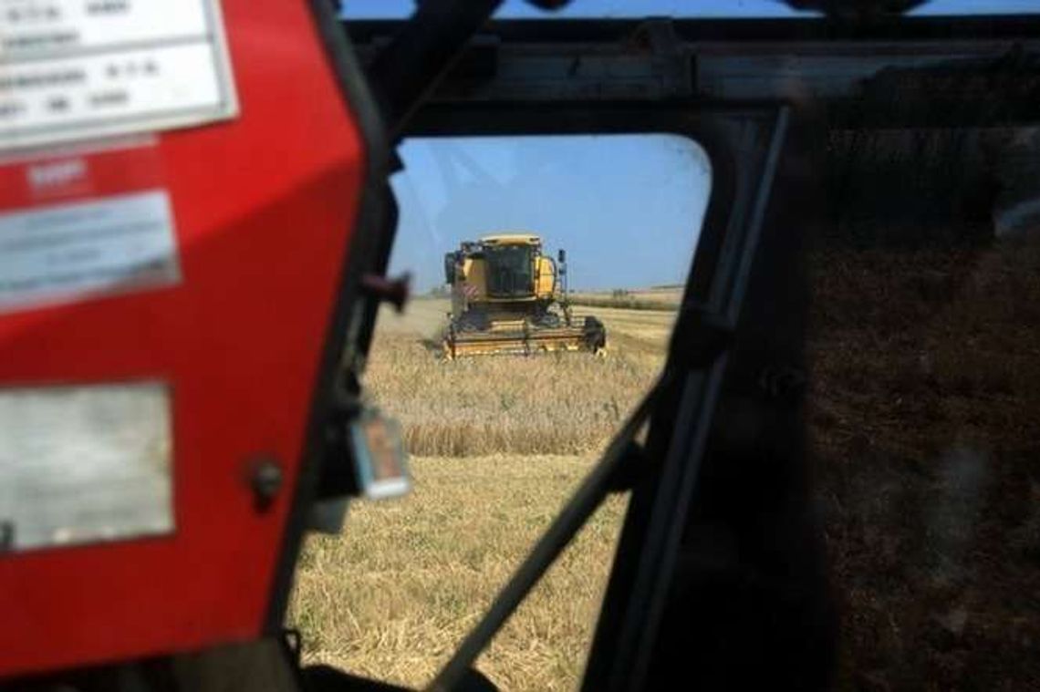 Straty w rolnictwie z powodu upałów. Ponad 19 tysięcy gospodarstw poszkodowanych