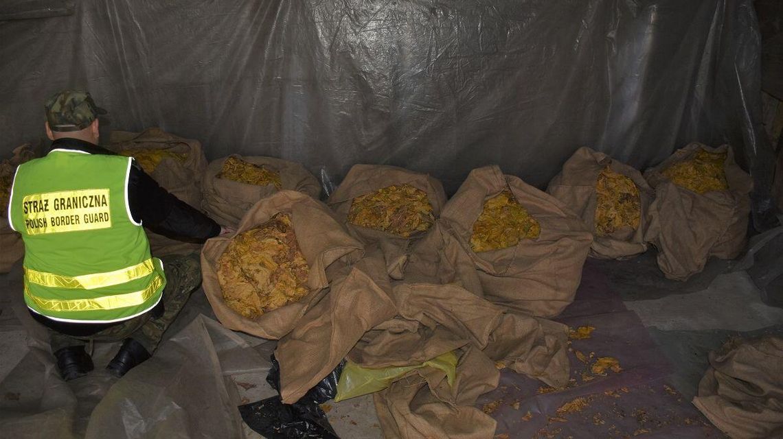 Straż Graniczna skonfiskowała 240 kg tytoniu. Miał posłużyć do nielegalnej produkcji papierosów [zdjęcia]