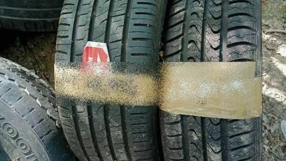 Straż Miejska odkryła porzucone opony w lesie. Ale do tej pory składowisko nie zniknęło Straż Miejska odkryła porzucone opony w lesie. Ale do tej pory składowisko nie zniknęło