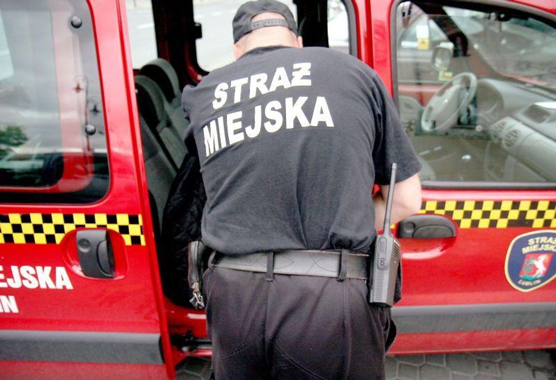Straż Miejska w Lublinie na tropie brudasów
