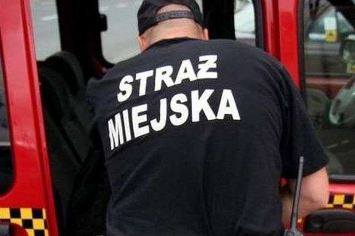Straż Miejska w Świdniku szuka pracowników