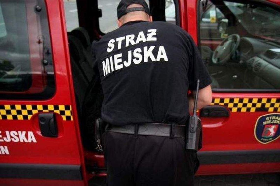 Straż Miejska zastawi pułapki na śmiecących. Pomoże kamera z czujnikiem ruchu