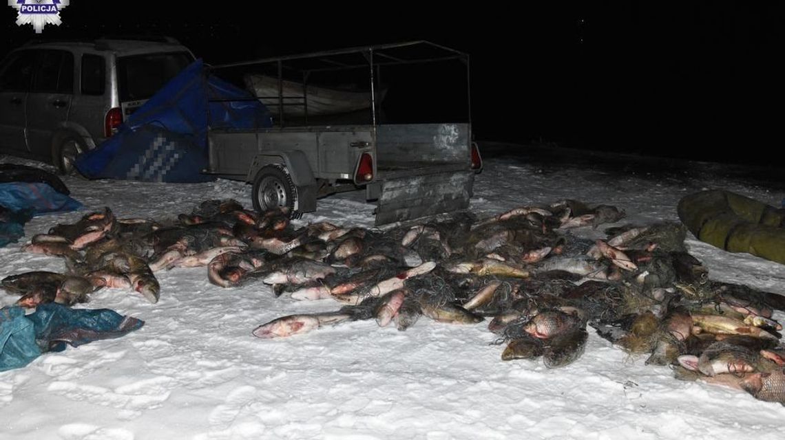 Straż Rybacka czuwa: Za karasie i leszcze do aresztu Straż Rybacka czuwa: Za karasie i leszcze do aresztu