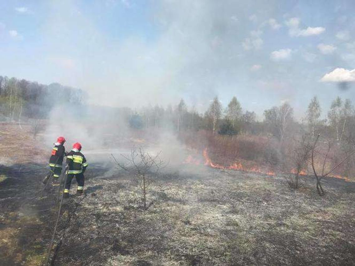 Strażacy gasili płonące trawy w Kajetanowie