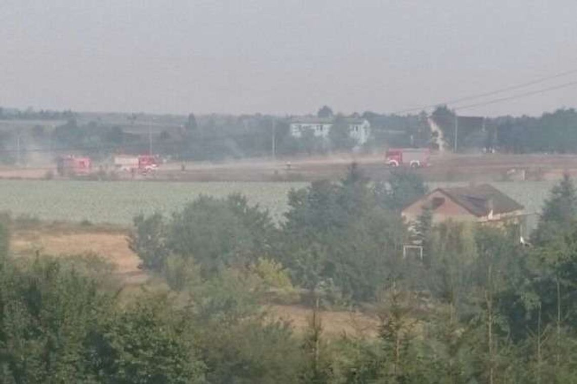 Strażacy gasili pożar ścierniska w Ciecierzynie koło Lublinia