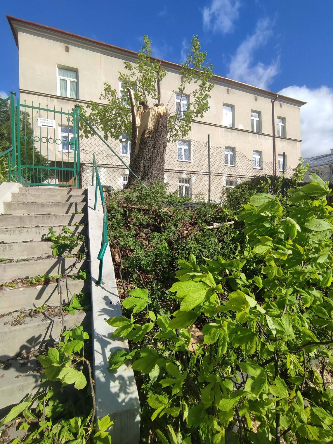 Strażacy mają pełne ręce roboty z powodu wichury