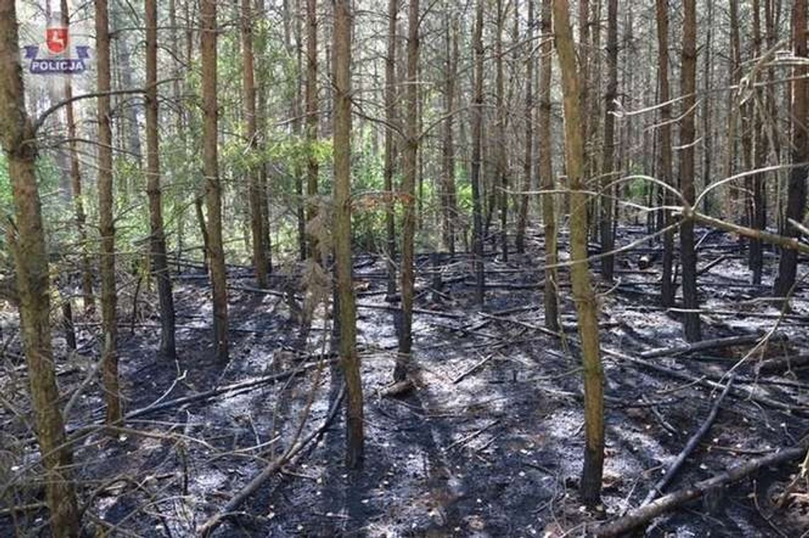 Strażacy od 3 lat podpalali lasy i pola Strażacy od 3 lat podpalali lasy i pola